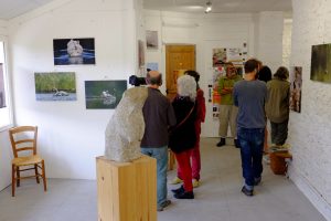 photos animalières drôme jjbertin.fr 2019 exposition la ronde des arts 2017 saint hilaire du rosier
