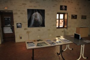 photos animalières drôme jj bertin.fr 2019 exposition palais delphinal saint donat 2018