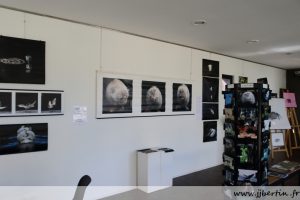 photos animalières drôme jjbertin.fr 2019 exposition roybon 38940 août 2019