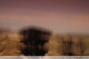 photos animalières drôme jjbertin.fr 2025 paysage