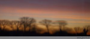 photos animalières drôme jjbertin.fr 2025 paysage